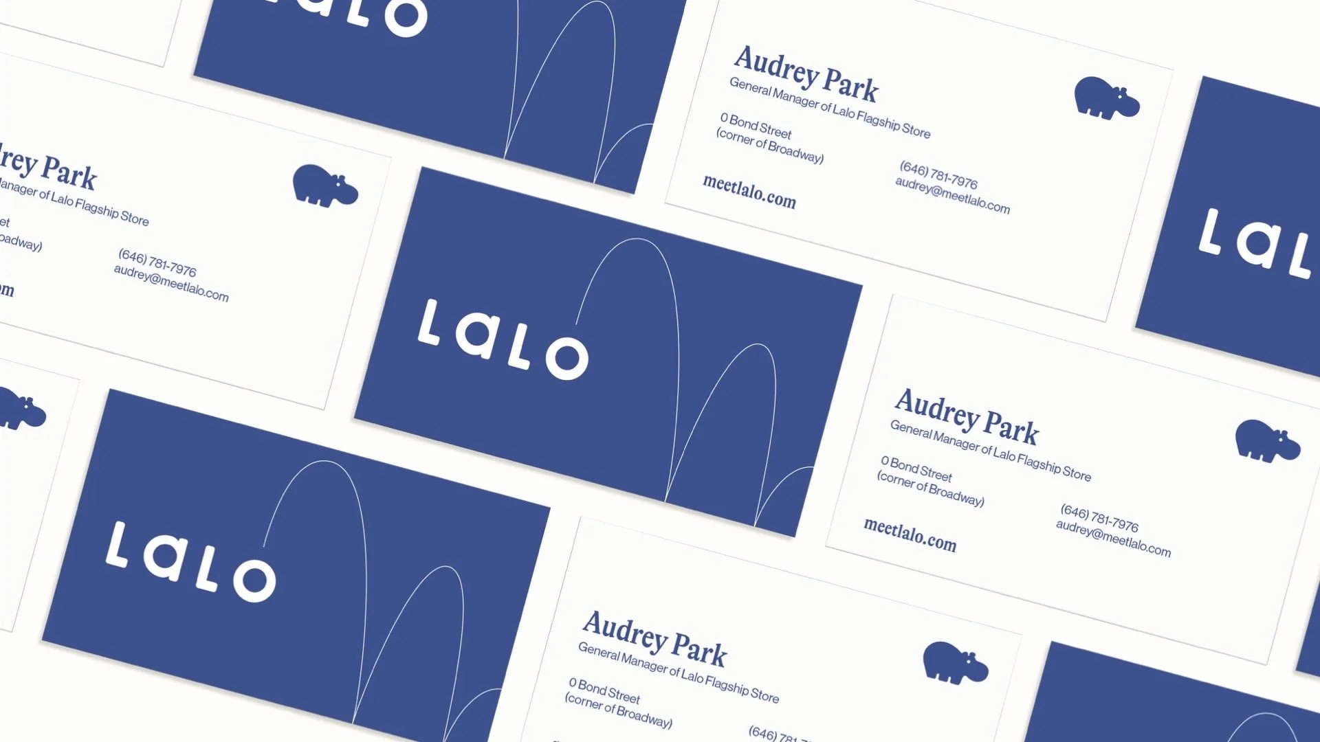 Lalo navy business card flat lay