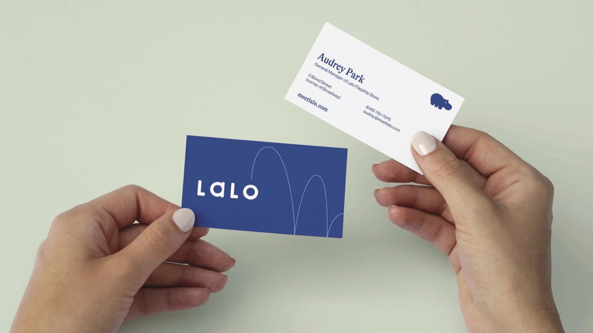 Lalo navy business cards held in hand